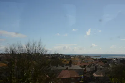 DSC_7242 (Large).JPG